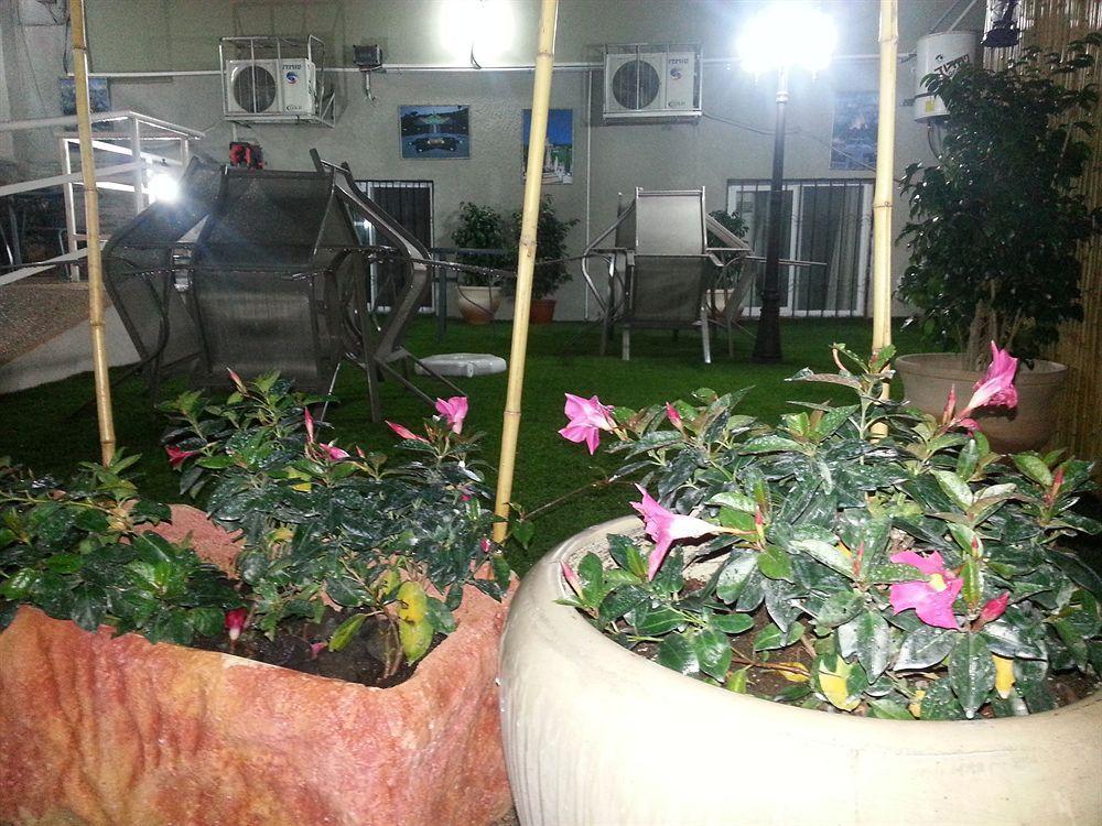 Garden *